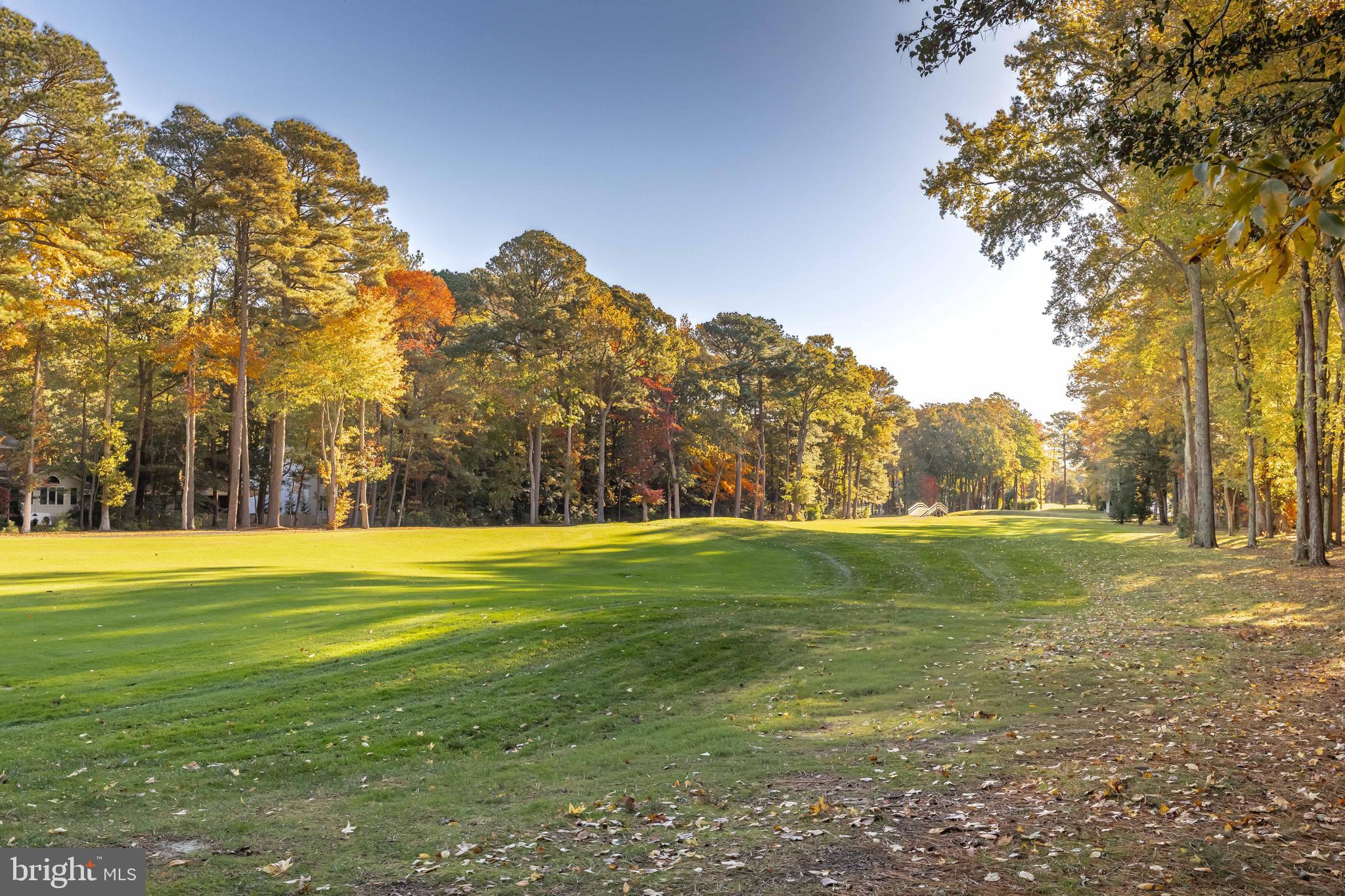 19 Brookside Road Ocean Pines, MD 21811 - Photo 76 of 80 a view of a big yard with trees