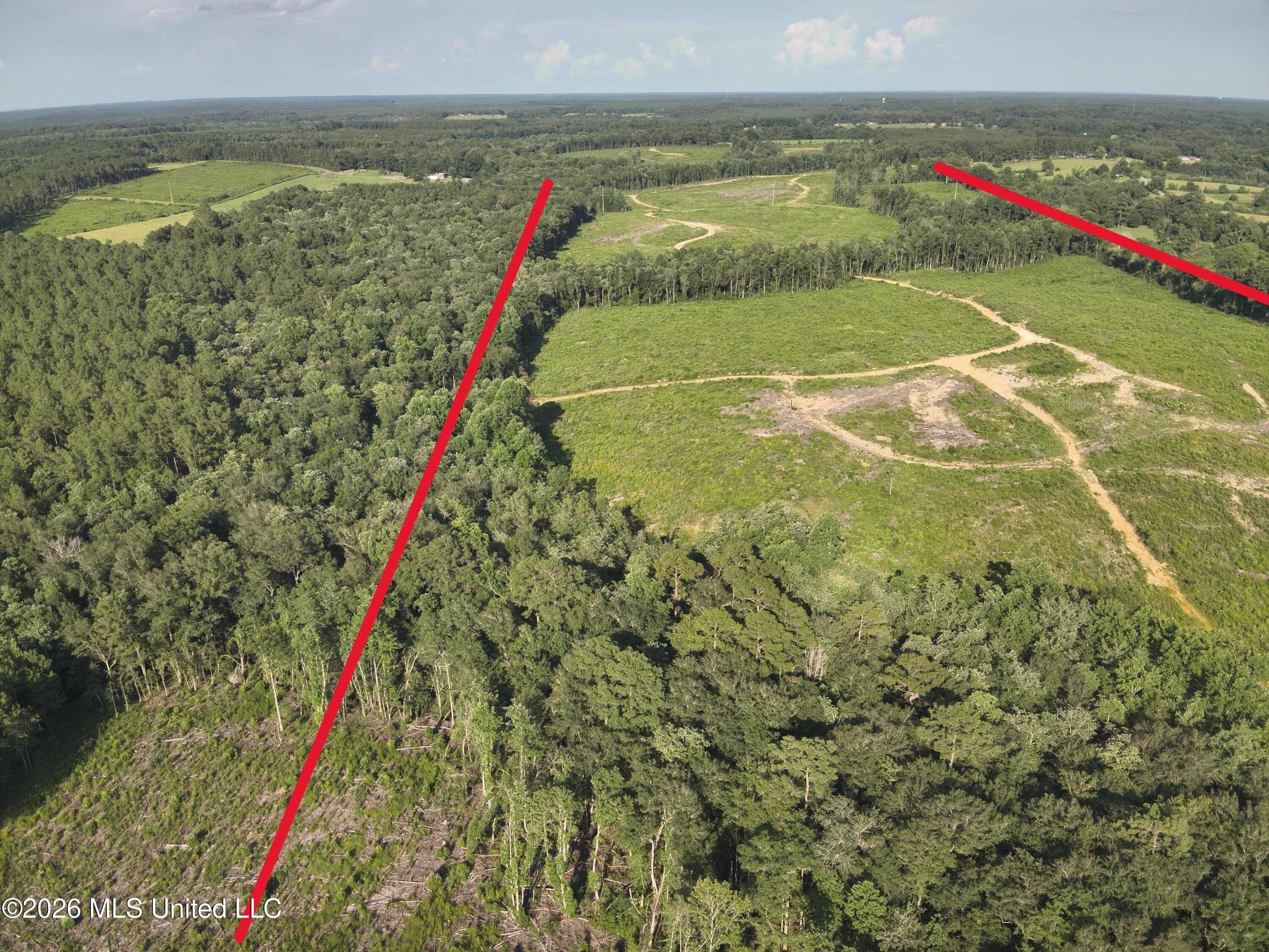 Oscar Bell Road Waynesboro, MS 39367 - Photo 13 of 23 DJI_20260710173937_0029_V