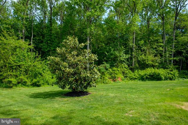31 Bordentown Chesterfield Road Chesterfield, NJ 08515 - Photo 51 of 55 a view of a lush green space
