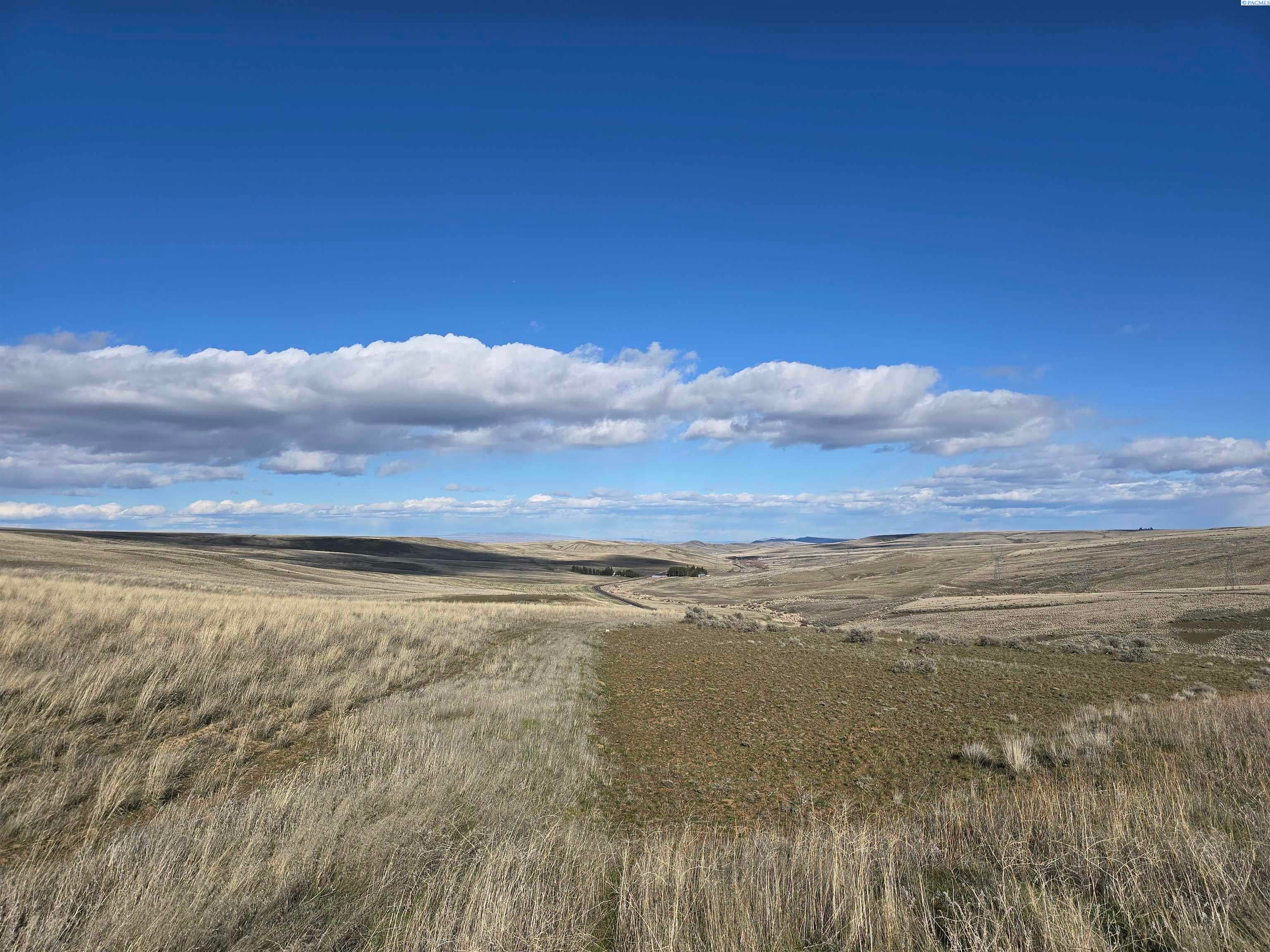 15283 Mabton-Bickleton Road Mabton, WA 98935 - Photo 23 of 39 Gallery Image 23