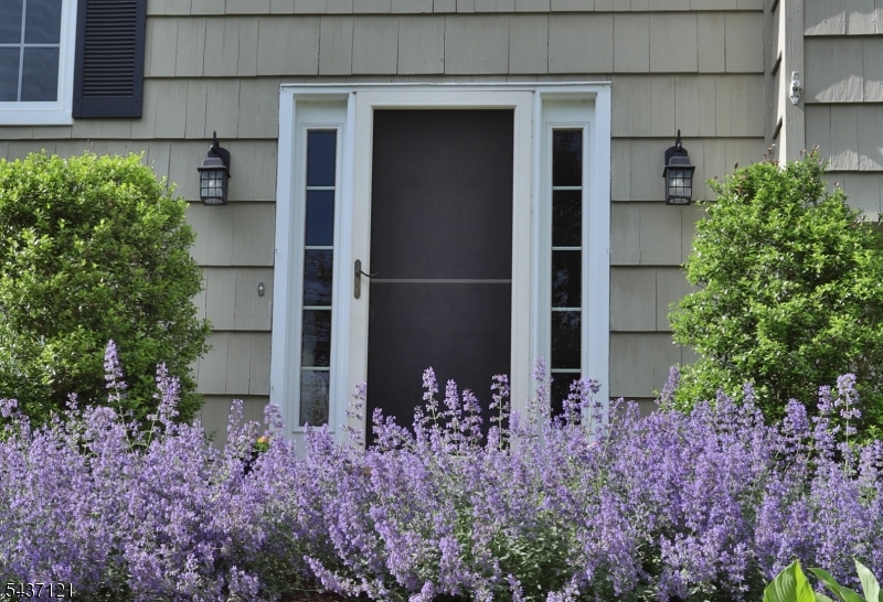 13 Raritan Drive Califon, NJ 07830 - Photo 1 of 21