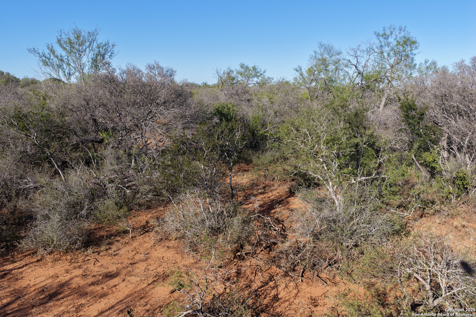 601 Co Rd 642 Yancey, TX 78886 - Photo 11 of 15