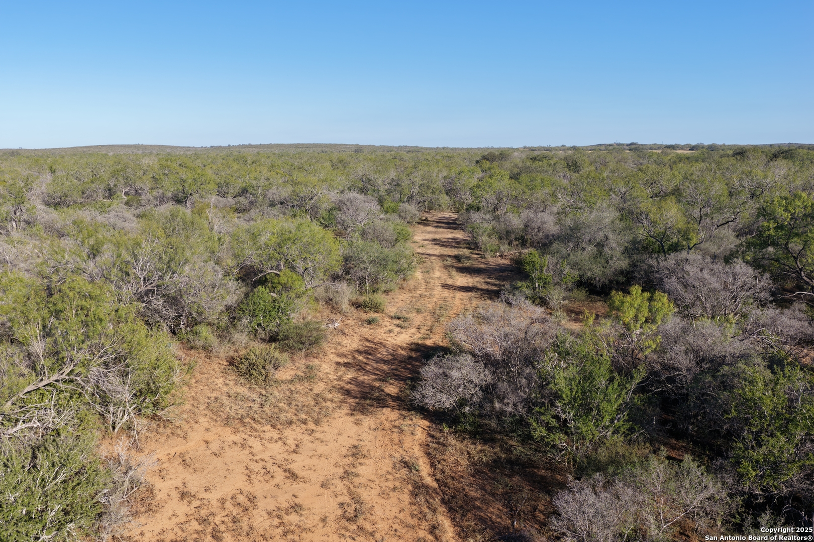 601 Co Rd 642 Yancey, TX 78886 - Photo 12 of 15