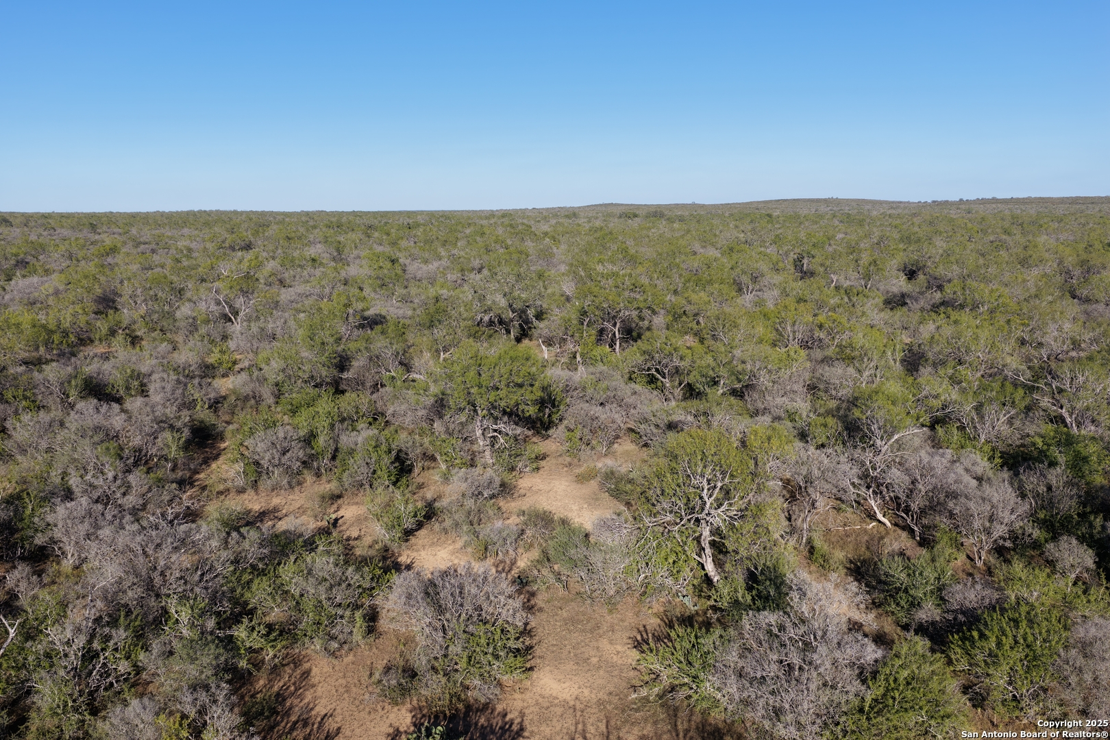 601 Co Rd 642 Yancey, TX 78886 - Photo 14 of 15