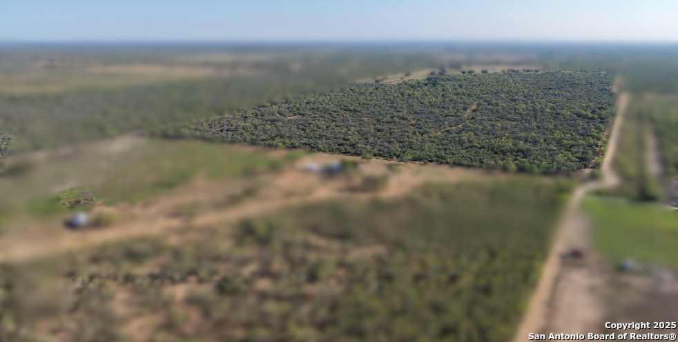 601 Co Rd 642 Yancey, TX 78886 - Photo 2 of 15