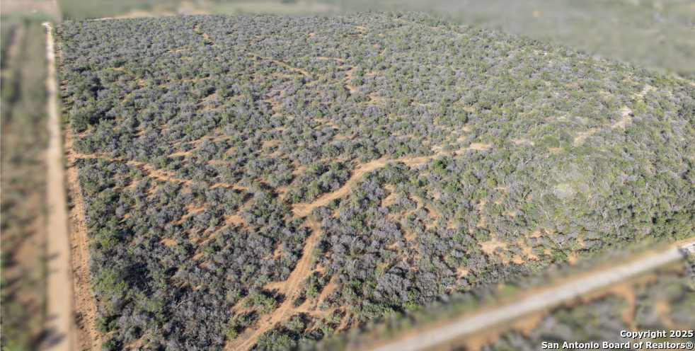 601 Co Rd 642 Yancey, TX 78886 - Photo 3 of 15