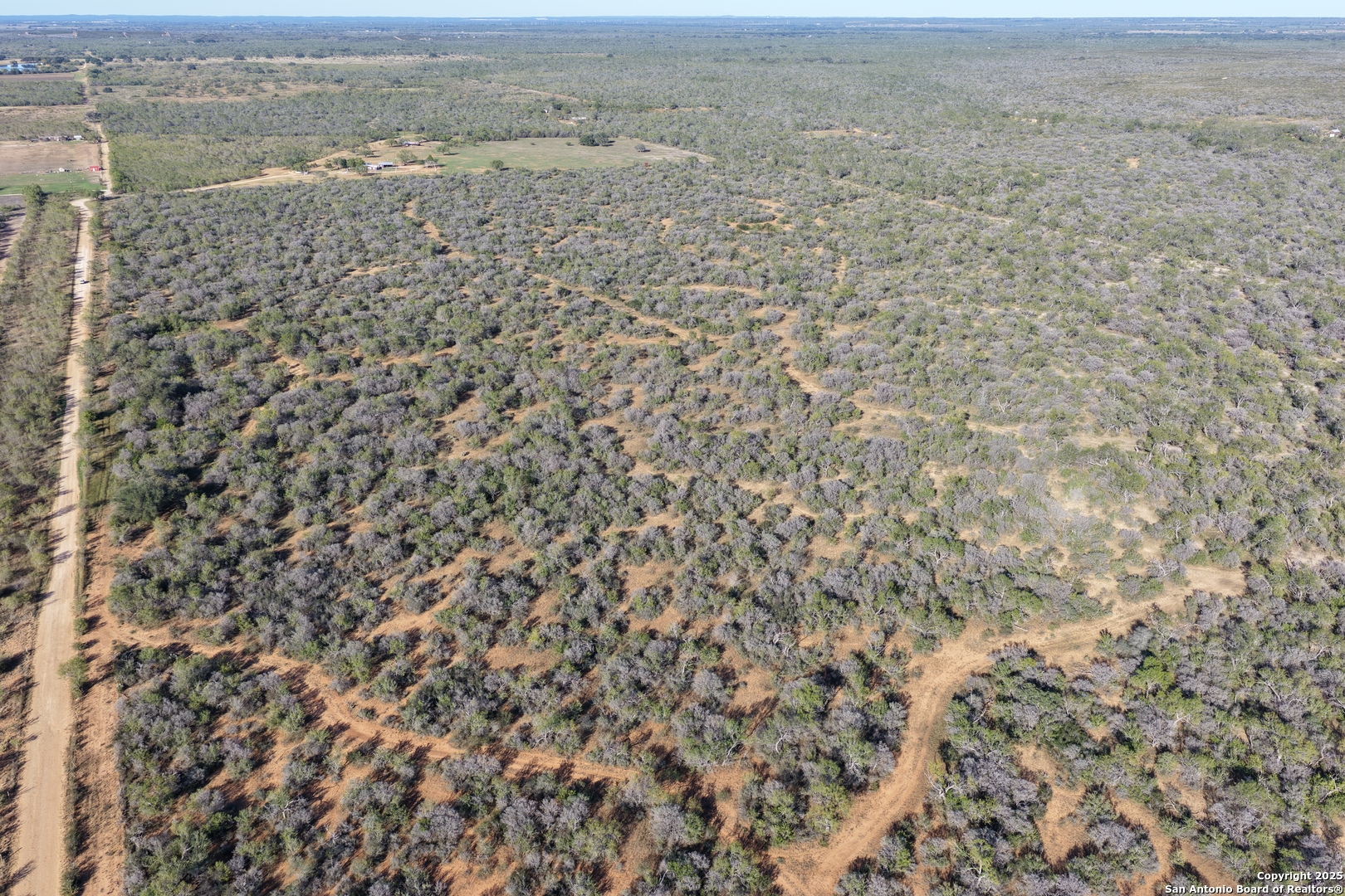 601 Co Rd 642 Yancey, TX 78886 - Photo 4 of 15