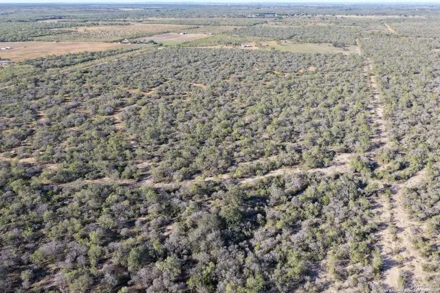 $750,000 | 601 Co Rd 642, Yancey, TX 78886