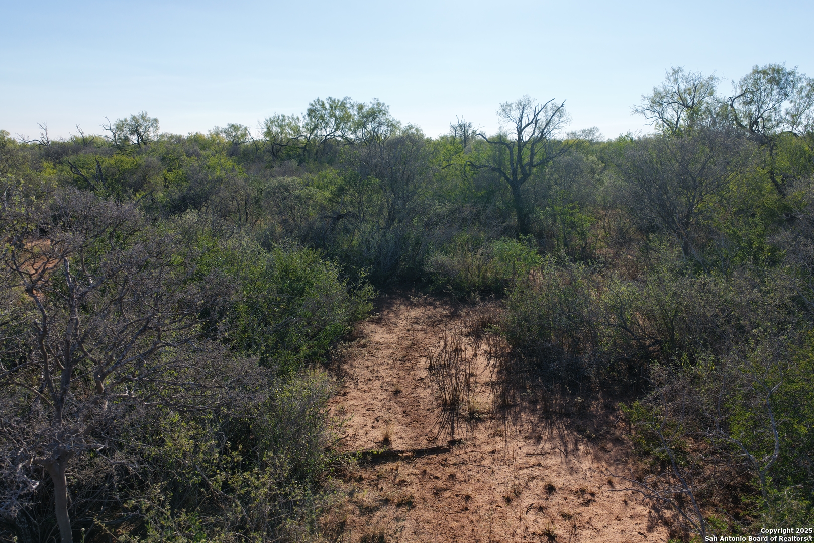 601 Co Rd 642 Yancey, TX 78886 - Photo 10 of 15