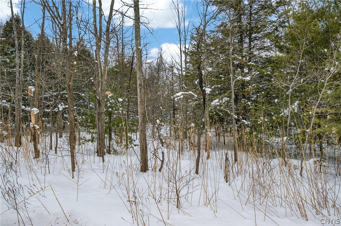 193 County Rte 11 West Monroe, NY 13167 - Photo 3 of 3