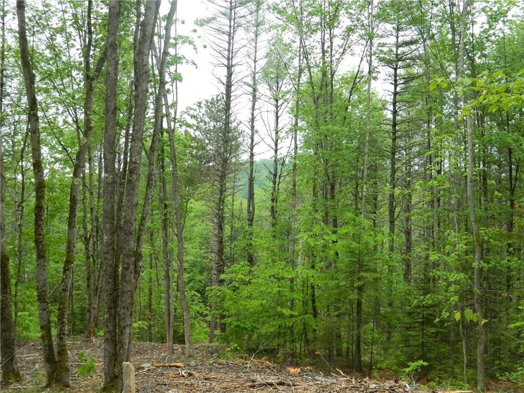 0 Old County Road, Unit 15 Porter, ME 04068 - Photo 15 of 17 Photo