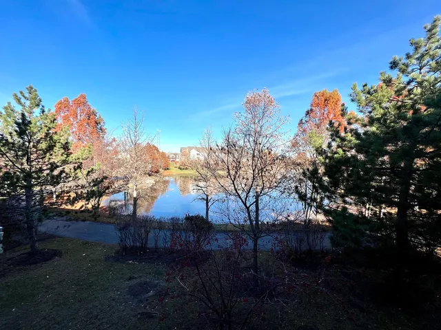 $3,100 | 300 Lunt Avenue, Unit 300, Schaumburg, IL 60193