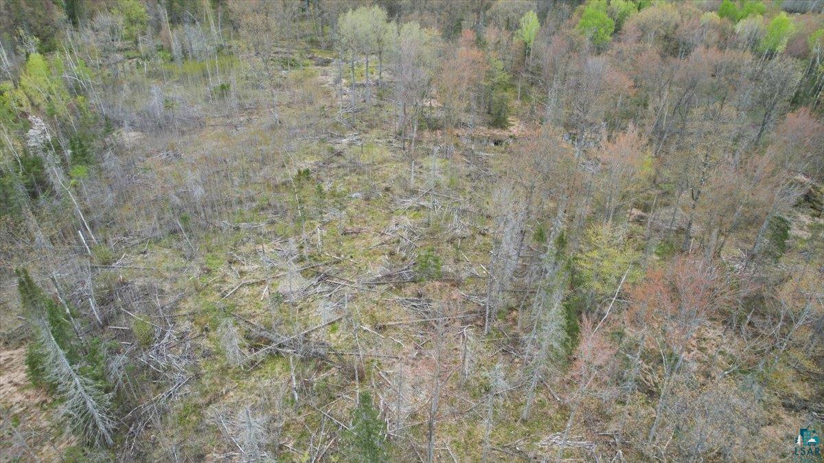 17-xx East Pearson Road Foxboro, WI 54836 - Photo 7 of 9