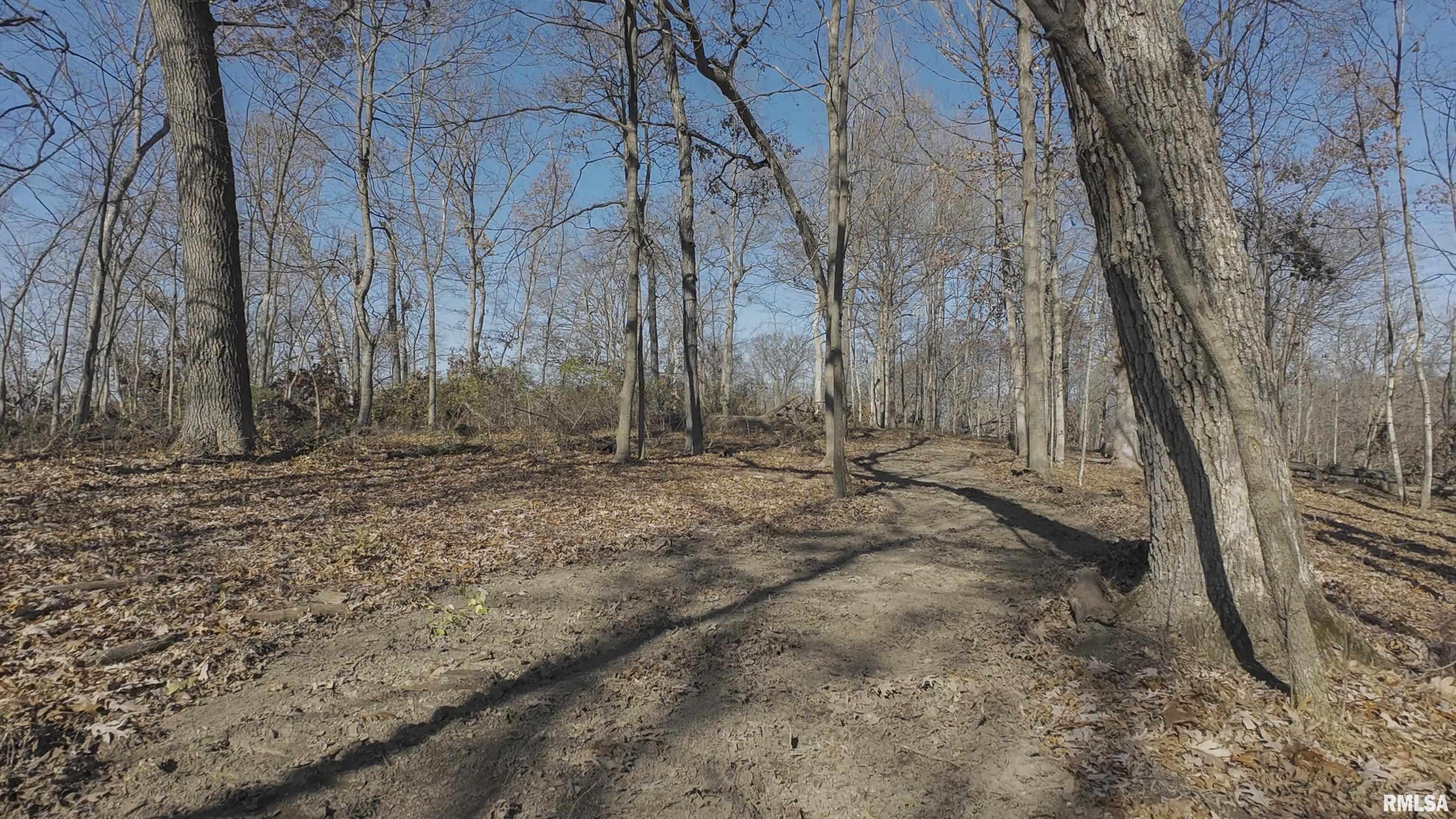 0 West Deford Road Dunlap, IL 61525 - Photo 11 of 68 Gallery Image 11