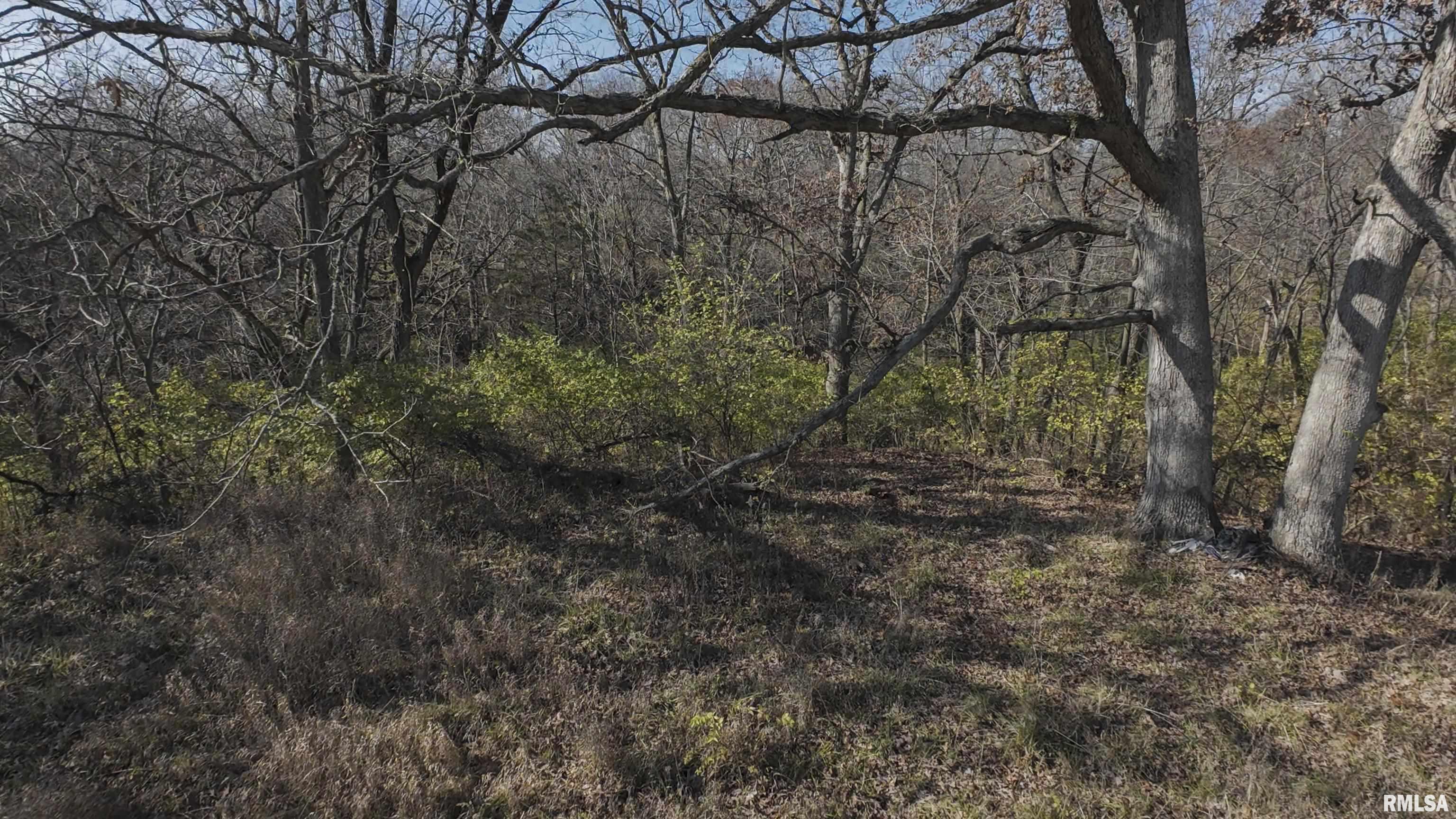 0 West Deford Road Dunlap, IL 61525 - Photo 20 of 68 Gallery Image 20