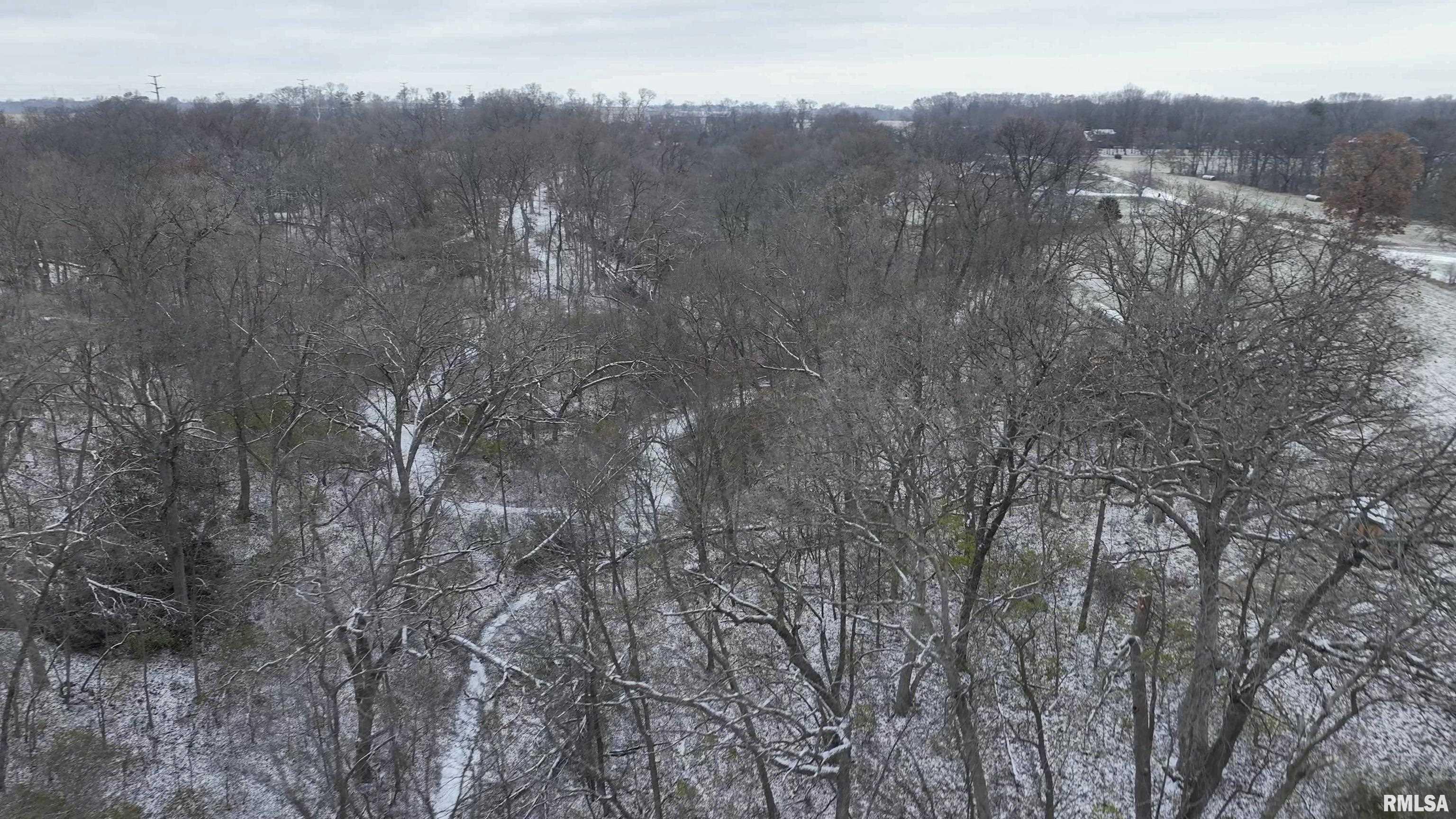 0 West Deford Road Dunlap, IL 61525 - Photo 4 of 68 Gallery Image 4