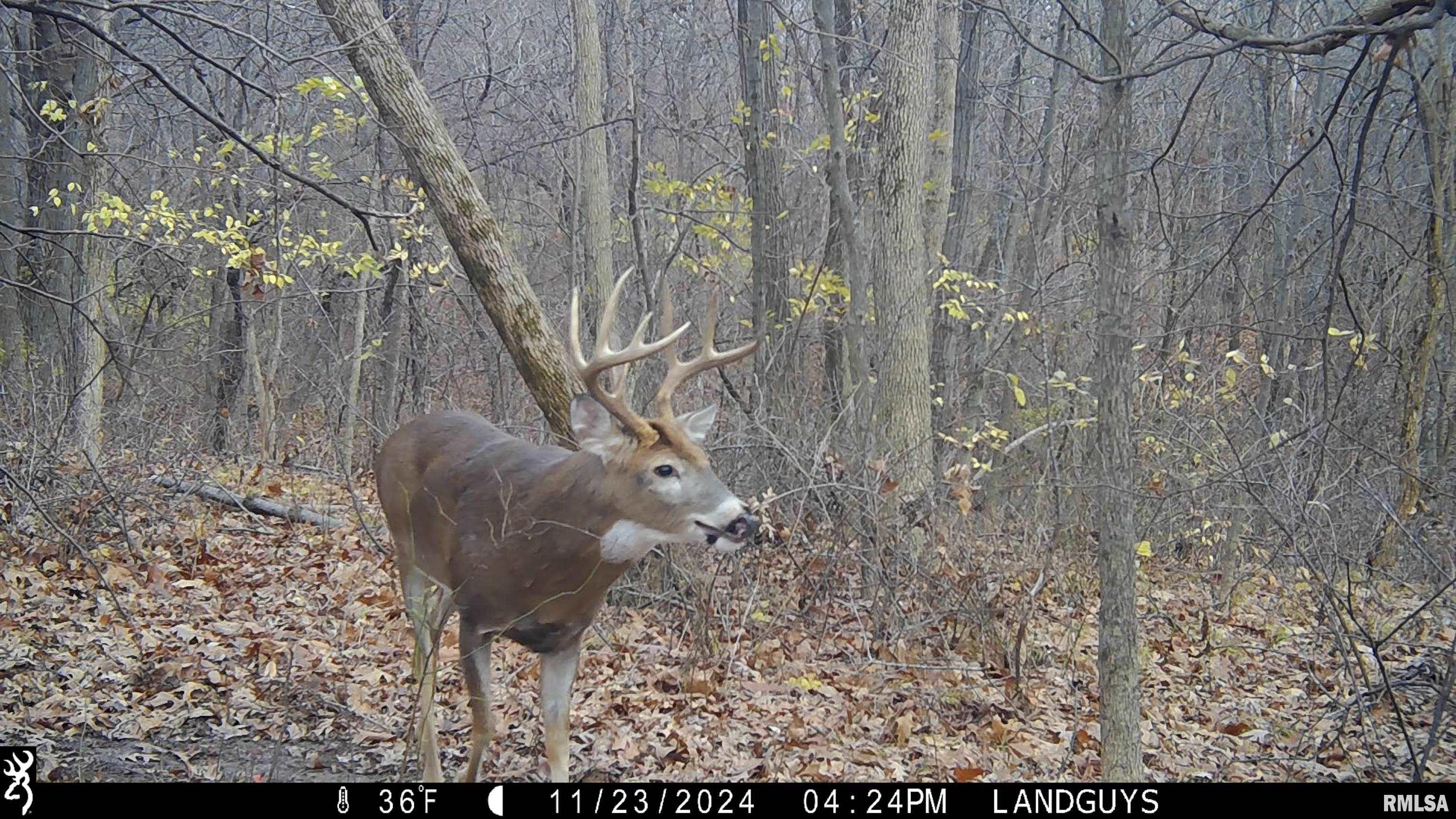 0 West Deford Road Dunlap, IL 61525 - Photo 50 of 68 Gallery Image 50