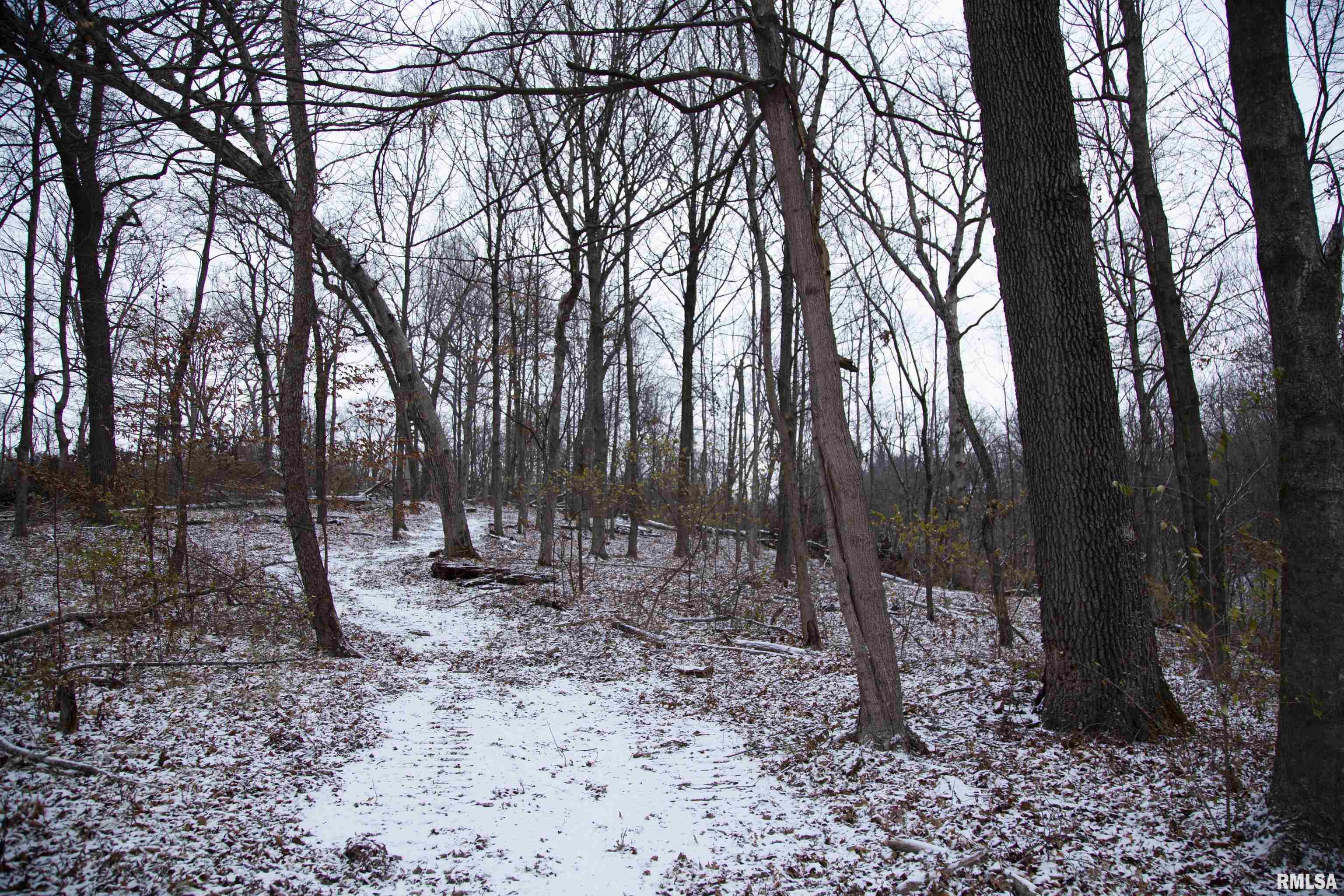 0 West Deford Road Dunlap, IL 61525 - Photo 60 of 68 Gallery Image 60
