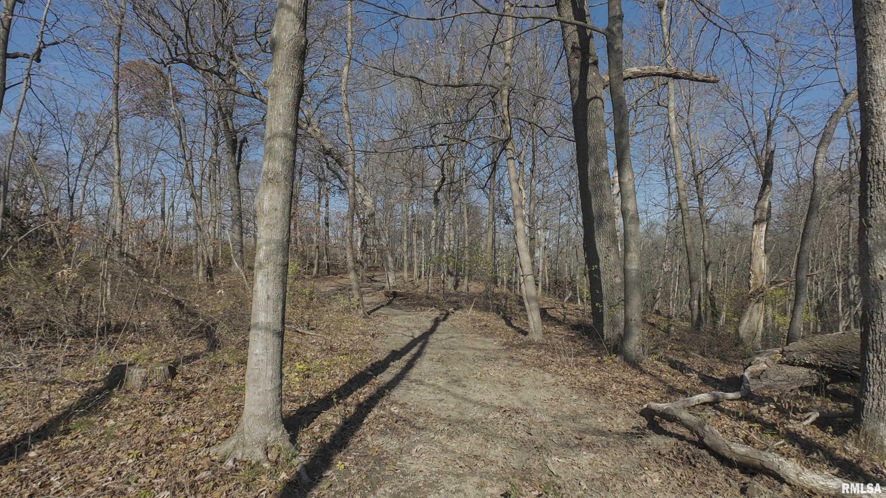 0 West Deford Road Dunlap, IL 61525 - Photo 10 of 68 Gallery Image 10