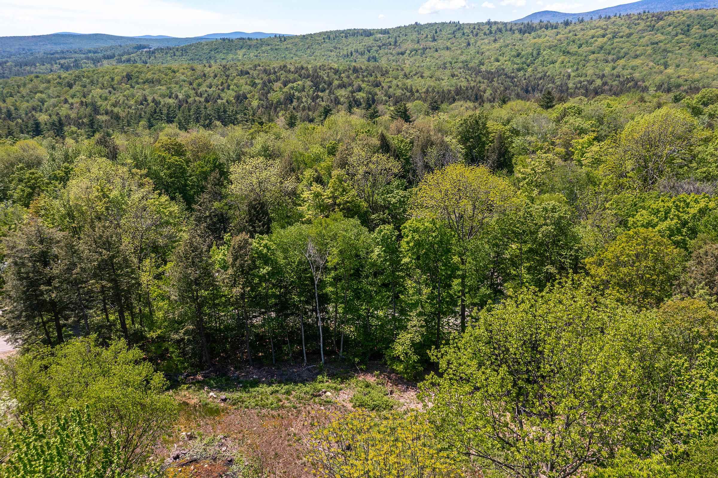 585 Sawmill Road West Wardsboro, VT 05360 - Photo 6 of 15