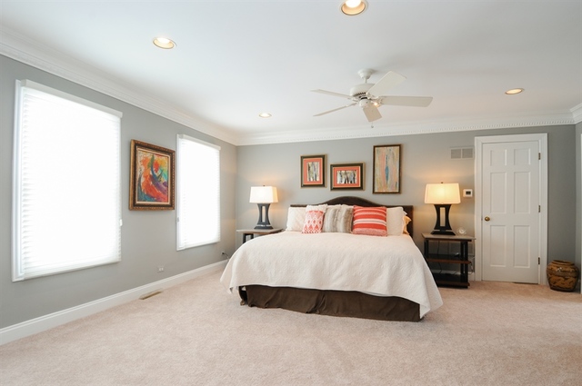 205 West Bailey Road Naperville, IL 60565 - Photo 11 of 22