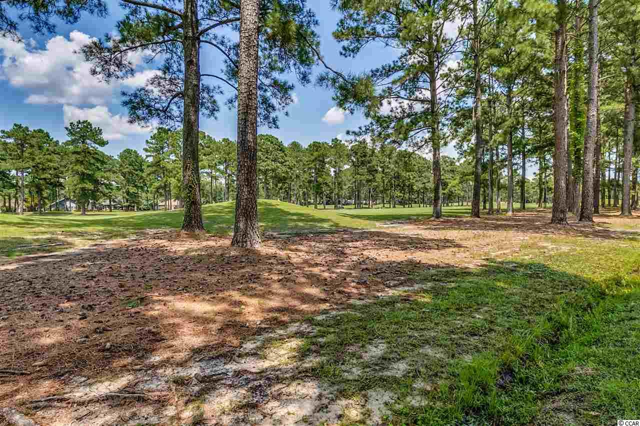 8201 Timber Ridge Road Conway, SC 29526 - Photo 24 of 25 Gallery Image 24