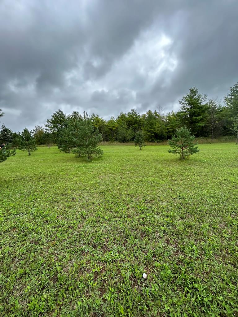 Tbd Little Lane Ellison Bay, WI 54210 - Photo 11 of 19
