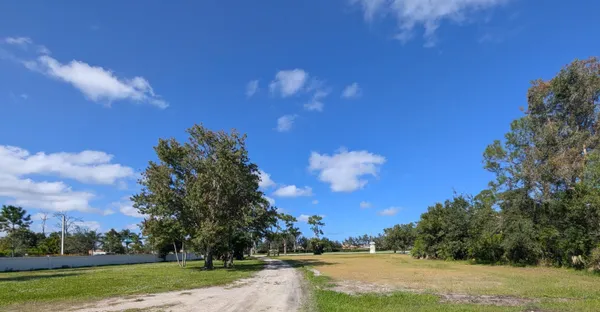 a view of a big yard of grass and an tree