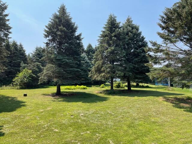 21953 3 Mile Road Reed City, MI 49677 - Photo 5 of 39 IMG_6605