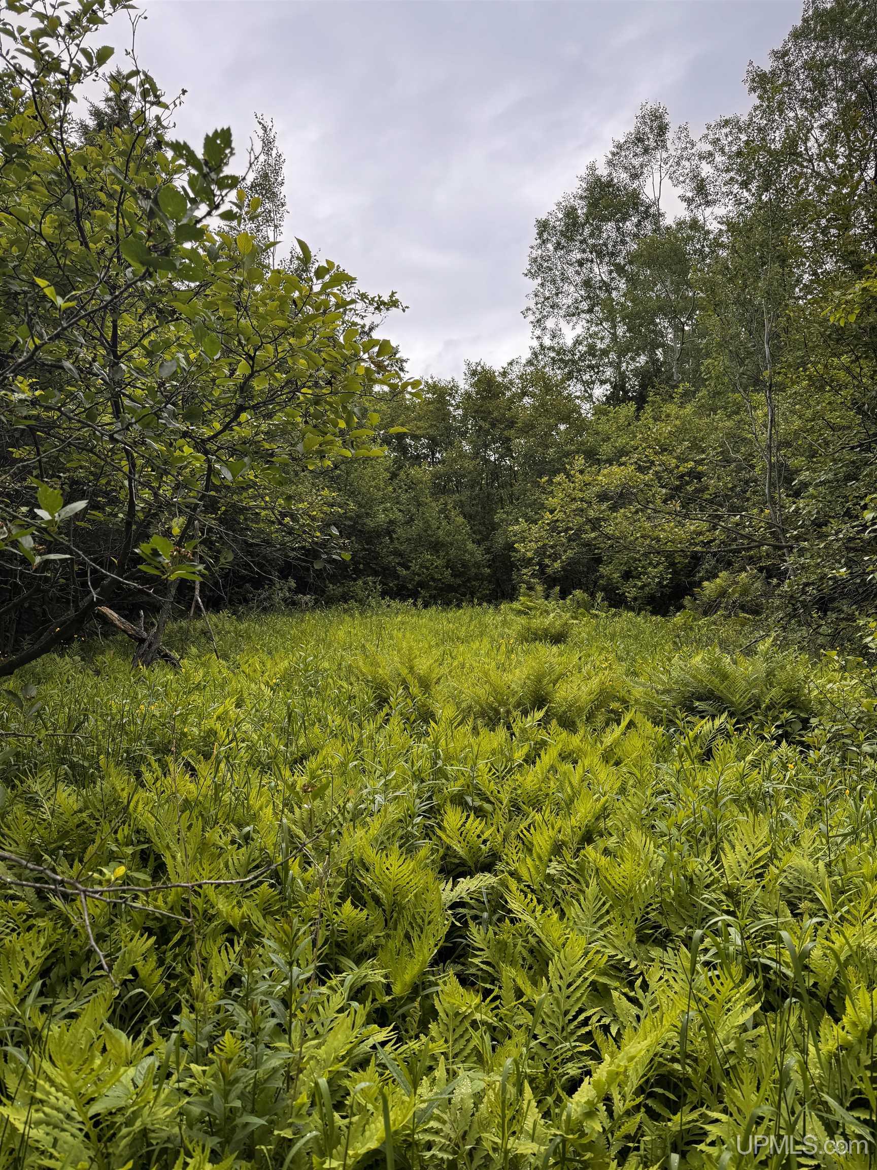 5.23 Messner Road Baraga, MI 49908 - Photo 2 of 18