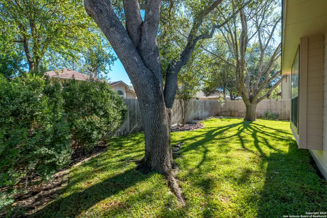 a view of a yard with plants and large trees