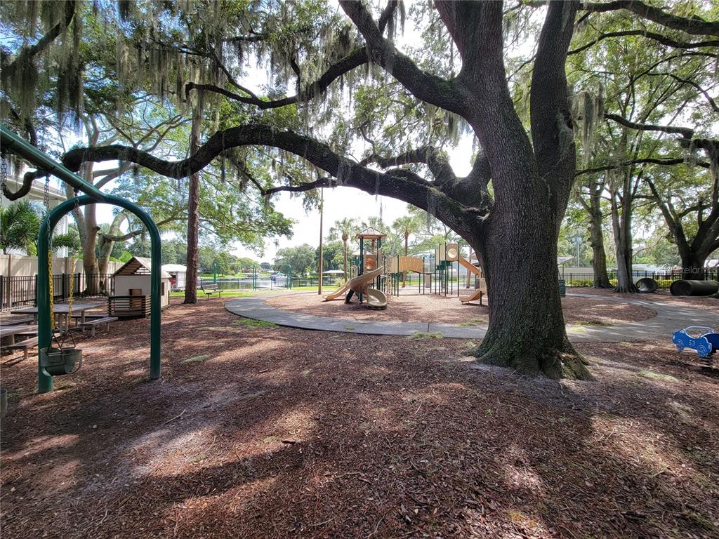 11606 Lipsey Road Tampa, FL 33618 - Photo 92 of 100 Gallery Image 92