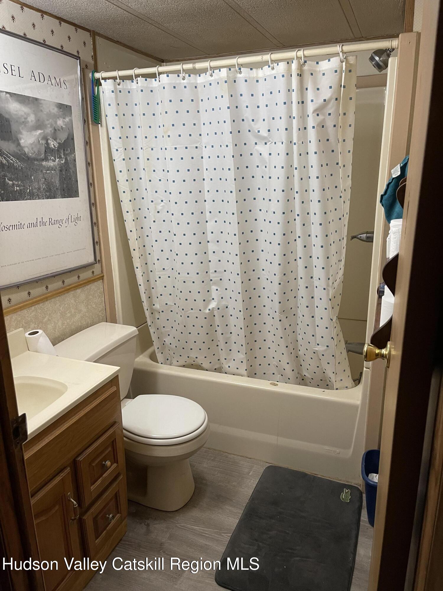 515 Ferndale Loomis Road Liberty, NY 12754 - Photo 11 of 30 IMG_4179