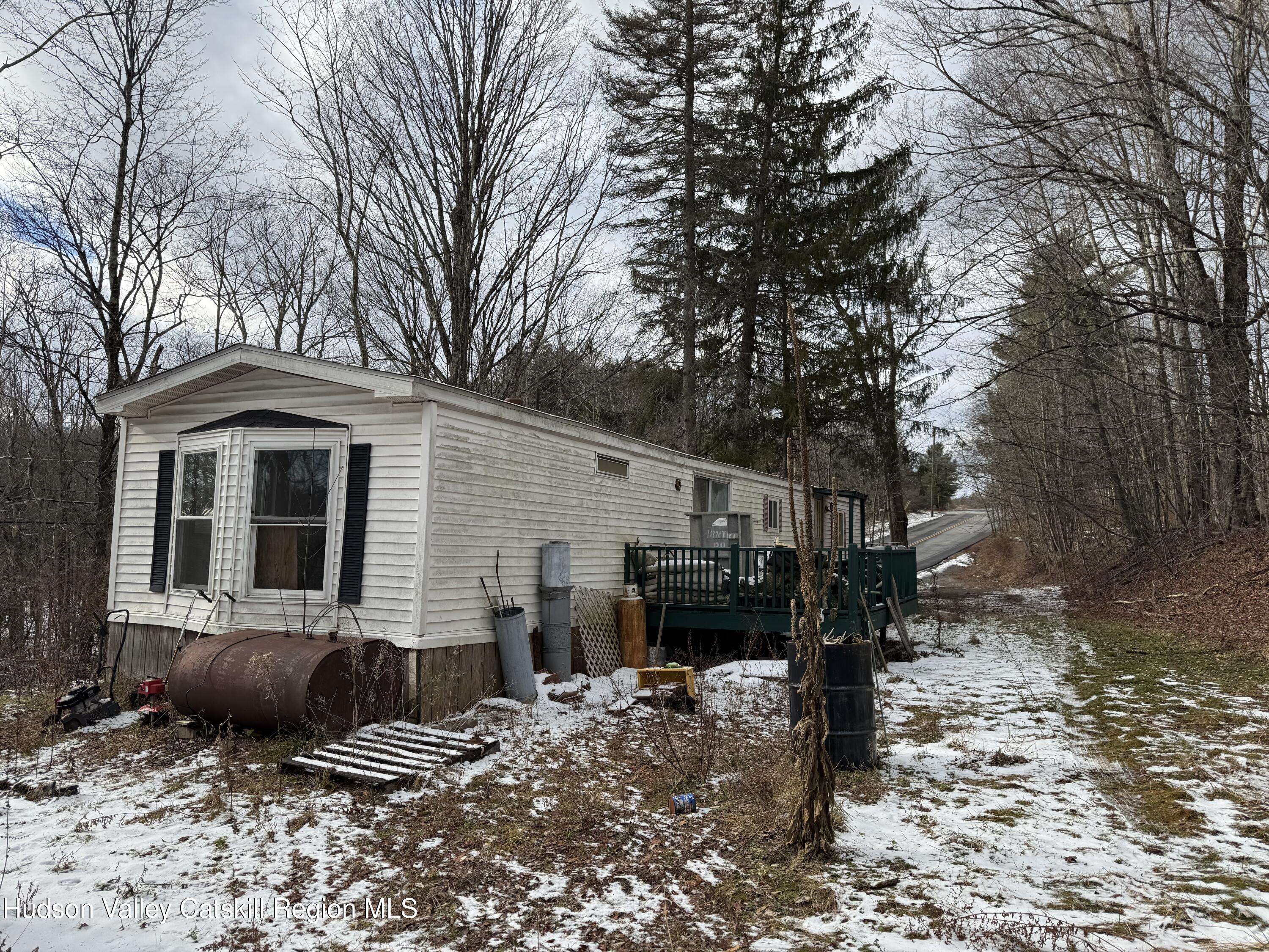 515 Ferndale Loomis Road Liberty, NY 12754 - Photo 2 of 30 IMG_8800