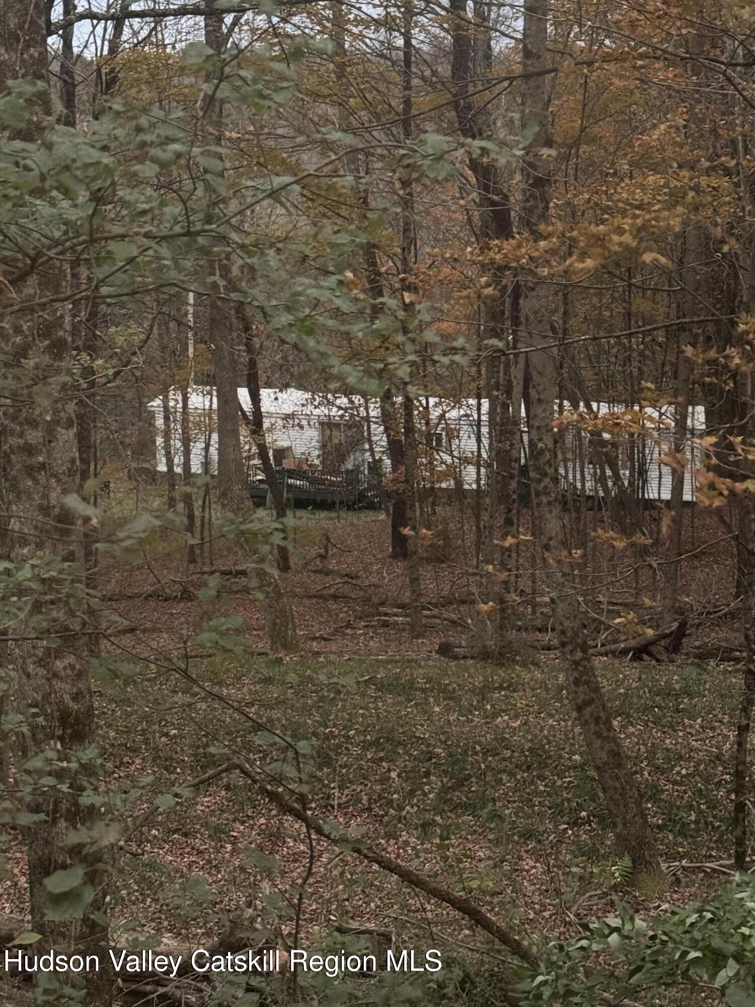 515 Ferndale Loomis Road Liberty, NY 12754 - Photo 25 of 30 IMG_7980