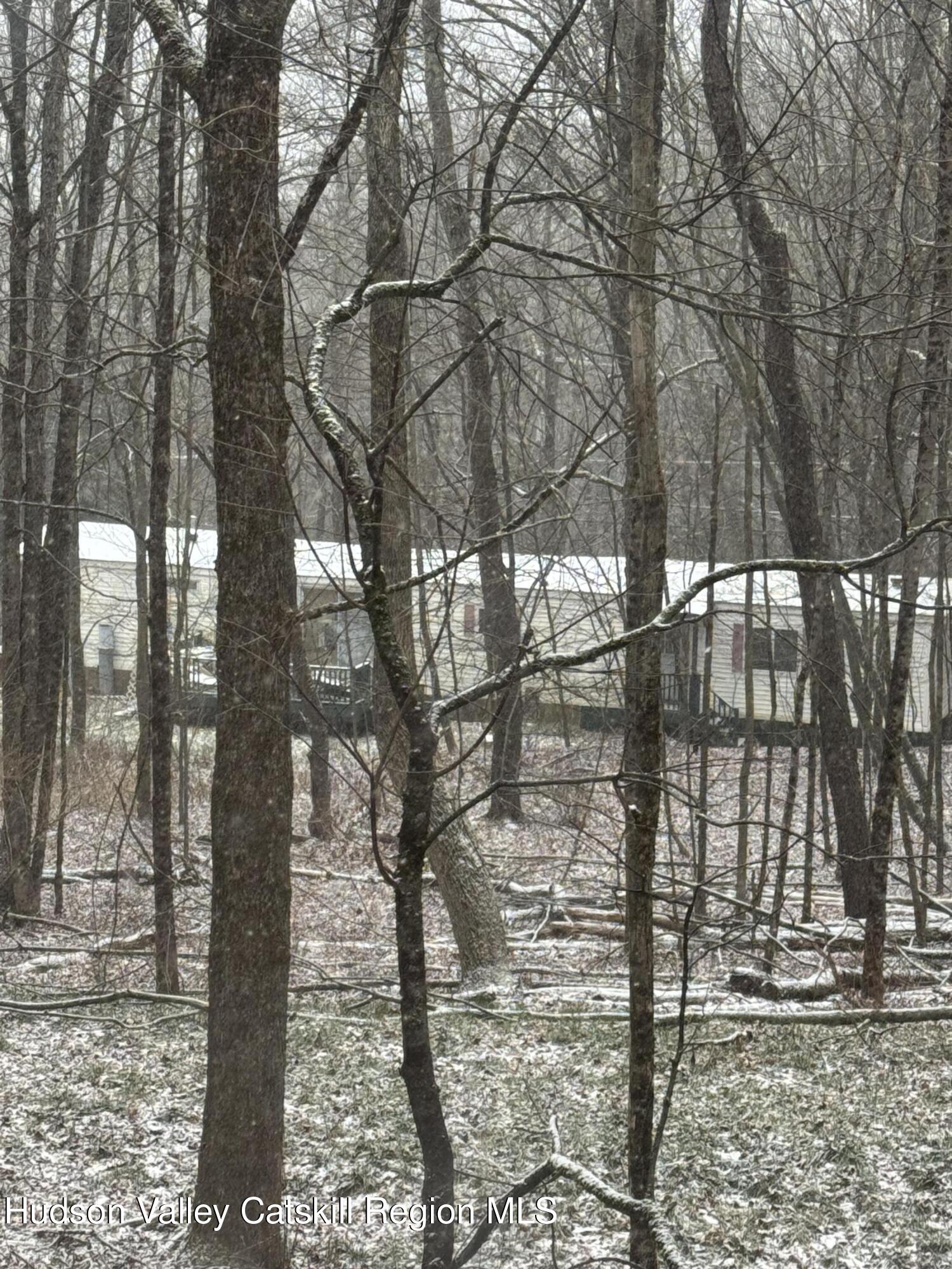 515 Ferndale Loomis Road Liberty, NY 12754 - Photo 27 of 30 IMG_8536