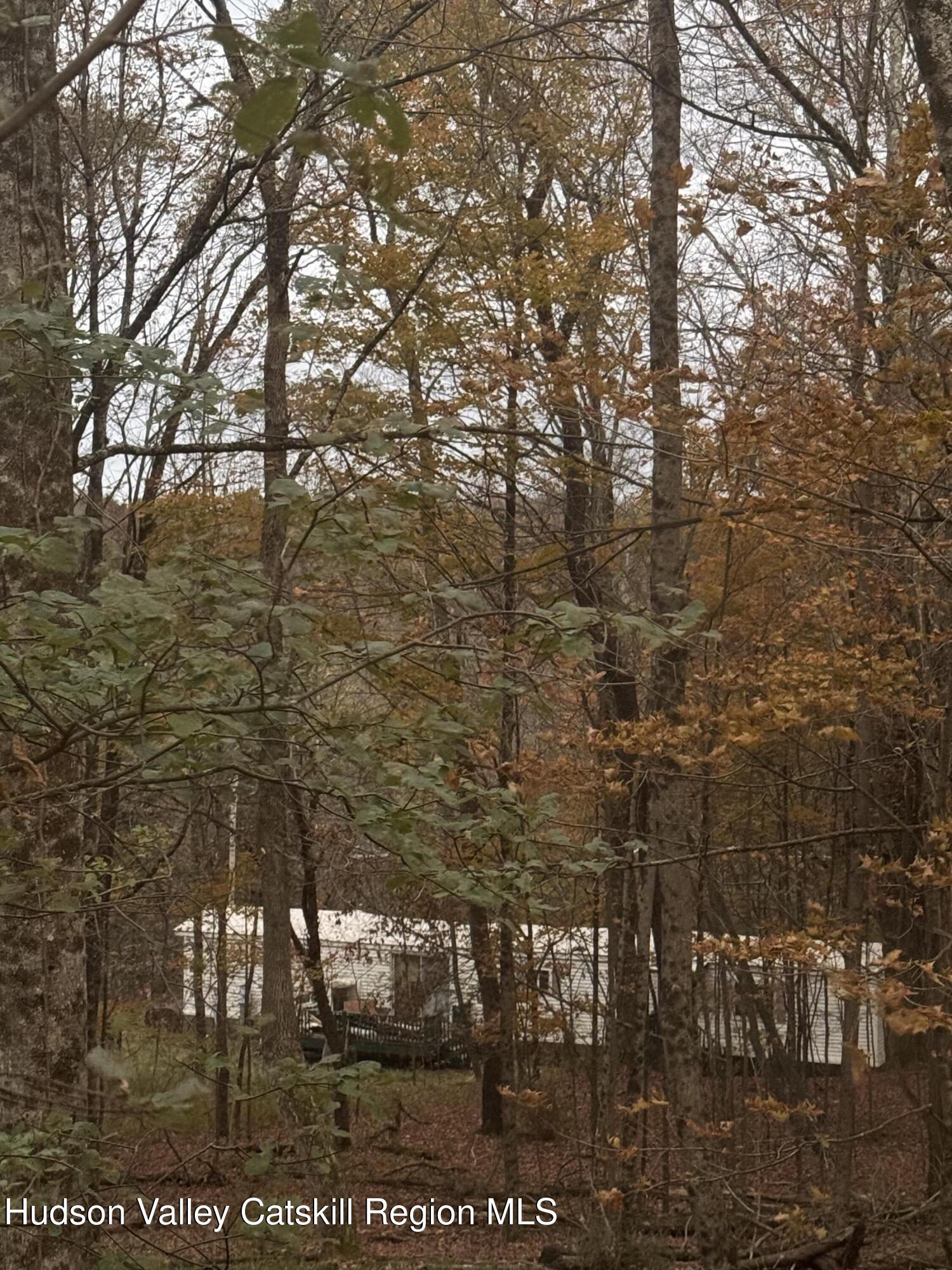 515 Ferndale Loomis Road Liberty, NY 12754 - Photo 8 of 30 IMG_7981