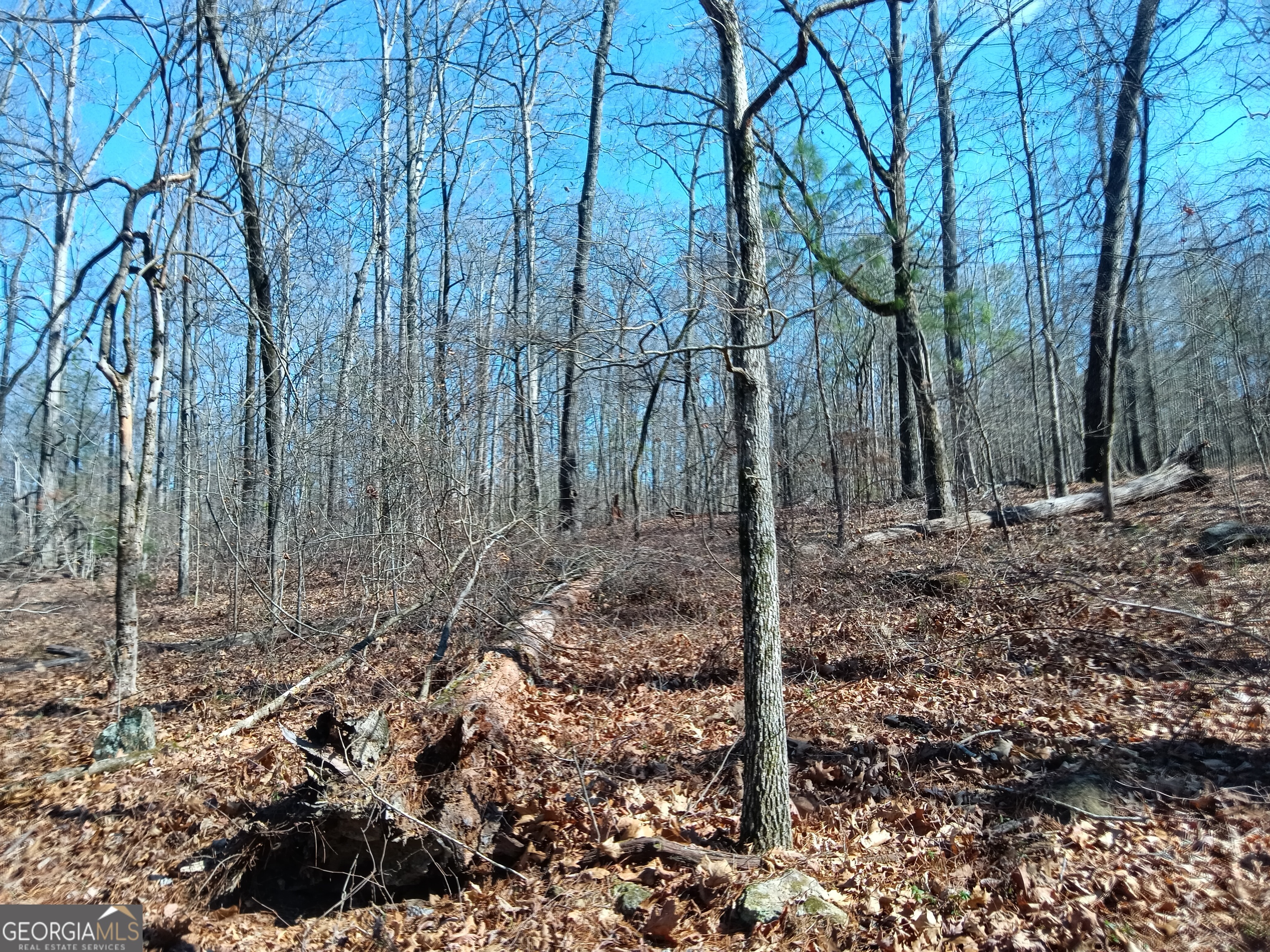 455 Rivers Road Fayetteville, GA 30214 - Photo 3 of 3