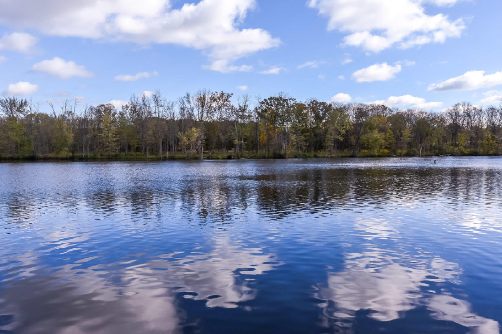 9400 Ravine Ridge Drive Southeast Caledonia, MI 49316 - Photo 41 of 46 DSC_5427