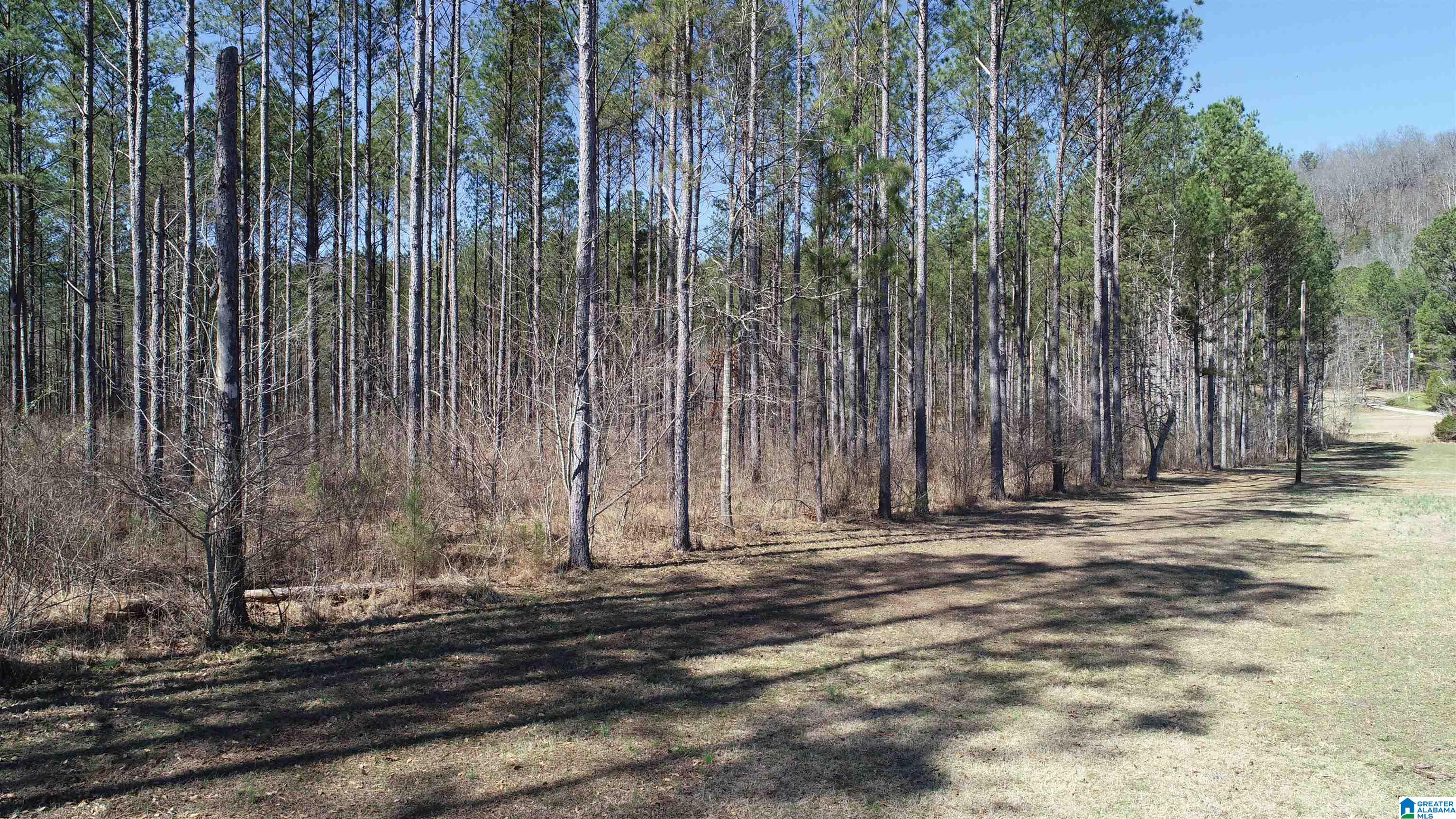 109 Shadow Stone Lane Oneonta, AL 35121 - Photo 14 of 31