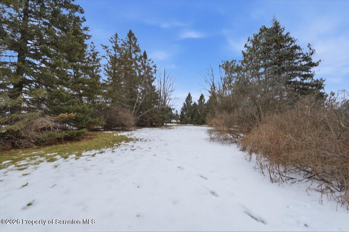 847 Griffin Pond Road Clarks Summit, PA 18411 - Photo 49 of 57 a view of a dirt yard with a tree
