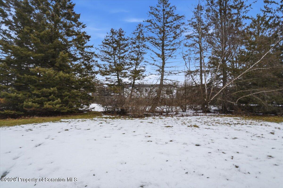 847 Griffin Pond Road Clarks Summit, PA 18411 - Photo 50 of 57 a view of a yard covered with snow