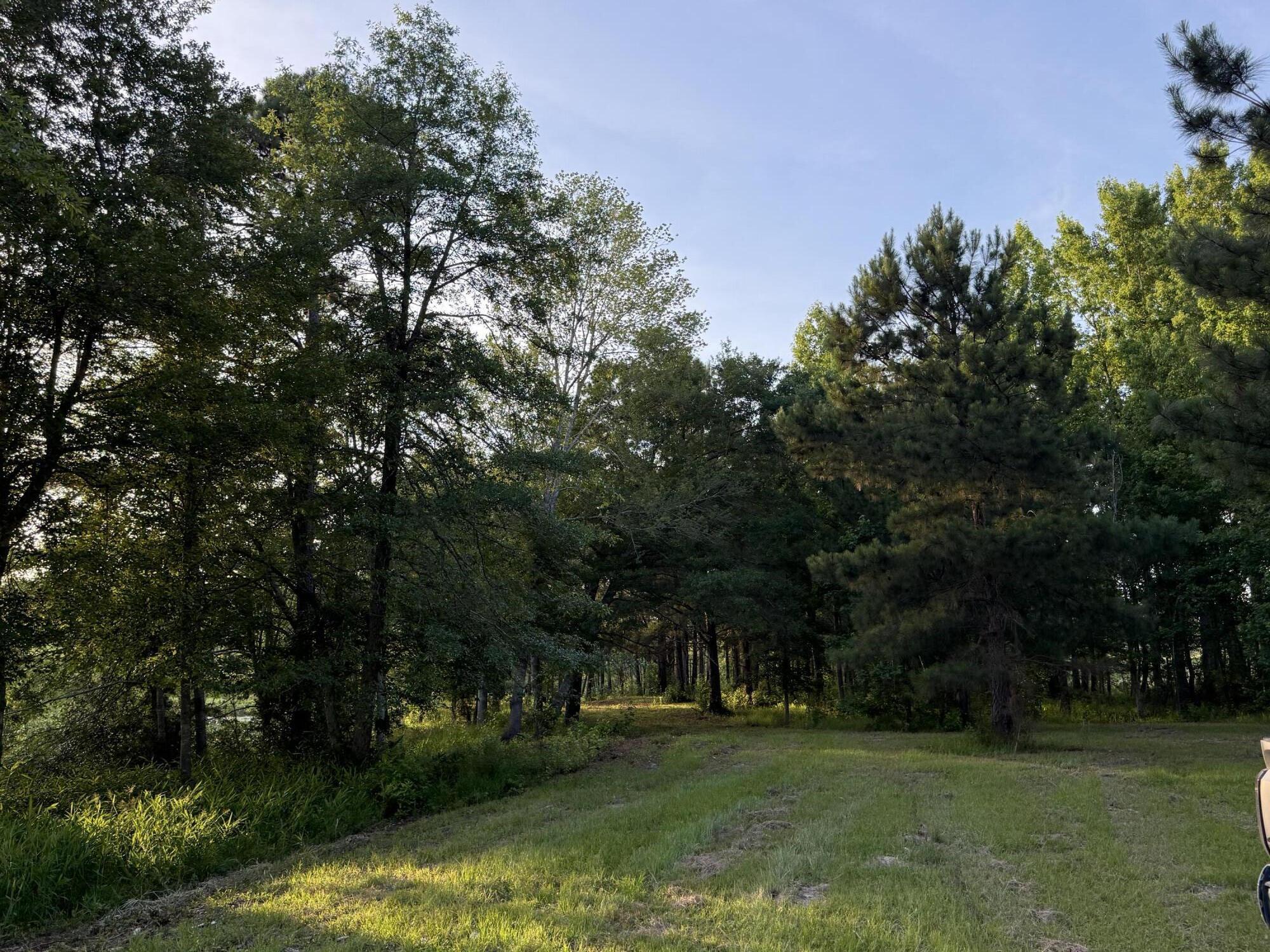 Lot 12 Reeves Street Aiken, SC 29805 - Photo 15 of 22
