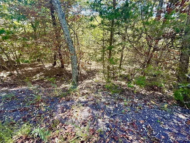 $15,000 | 1124 Sword Drive, Lake Sherwood, MO 63357