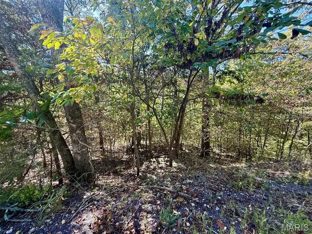 $15,000 | 1124 Sword Drive, Lake Sherwood, MO 63357