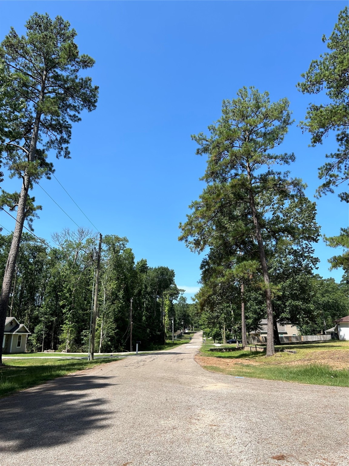 0 Royal Creek Road Conroe, TX 77303 - Photo 18 of 26 a backyard of a house with lots of green space and trees