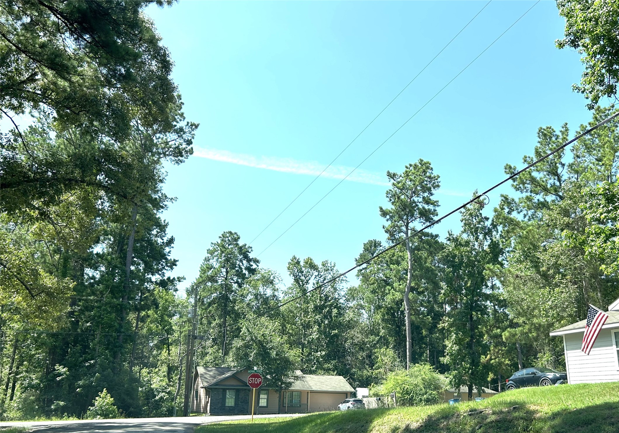 0 Royal Creek Road Conroe, TX 77303 - Photo 20 of 26 a backyard of a house with lots of green space
