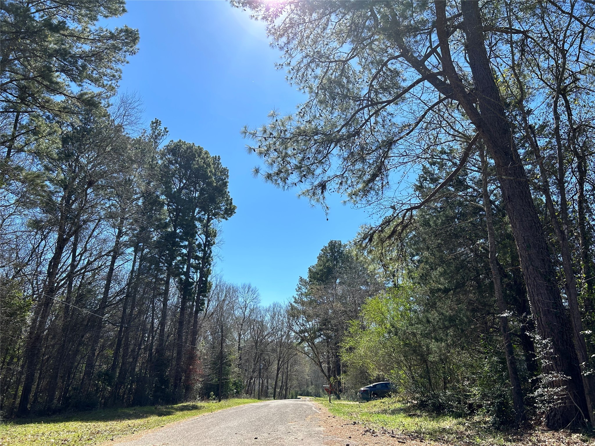 0 Royal Creek Road Conroe, TX 77303 - Photo 21 of 26 a view of a yard with trees