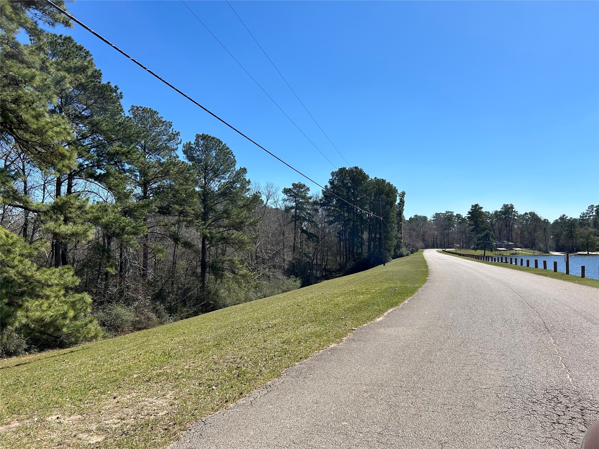 0 Royal Creek Road Conroe, TX 77303 - Photo 8 of 26 a view of a road with a yard