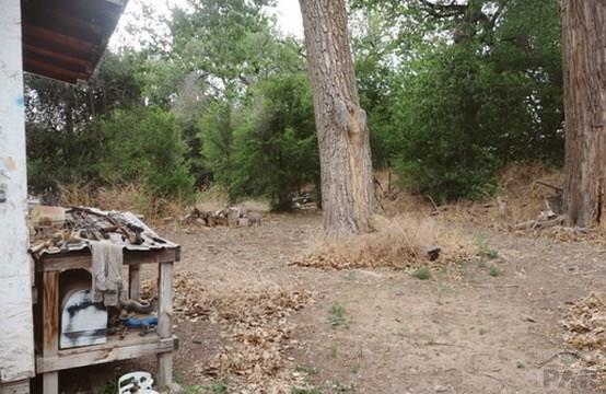 11229 County Rd JJ 5 Manzanola, CO 81058 - Photo 7 of 32 a view of a couches under a large tree